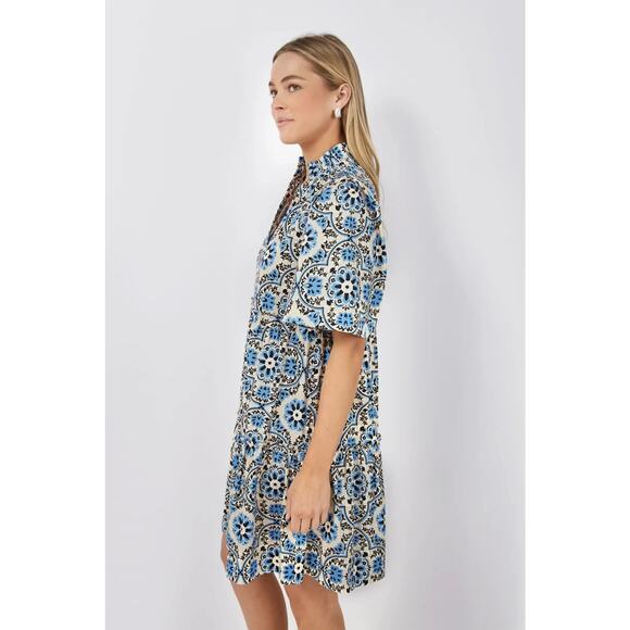 Tuckernuck Golden Medallion Crawford Dress Size Medium Flutter Ruffle Mini Blue - Picture 8 of 16